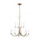 Westerly 12 - Light Chandelier CC10612ADB