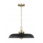 Wellfleet 1 - Light Medium Pendant CP1231MBKBBS