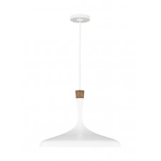 Darwin Large 1 - Light Pendant EP1011MWT