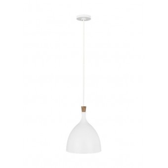 Darwin Medium 1 - Light Pendant EP1071MWT
