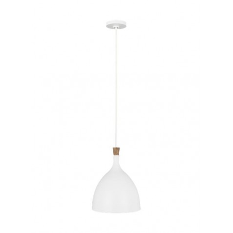 Darwin Medium 1 - Light Pendant EP1071MWT